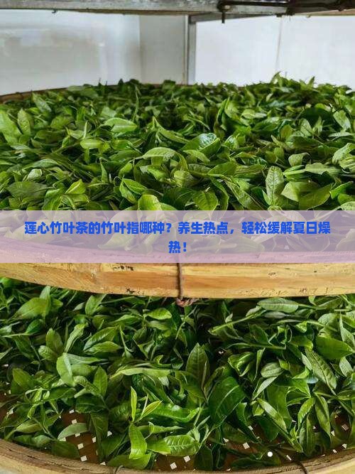 莲心竹叶茶的竹叶指哪种？养生热点，轻松缓解夏日燥热！
