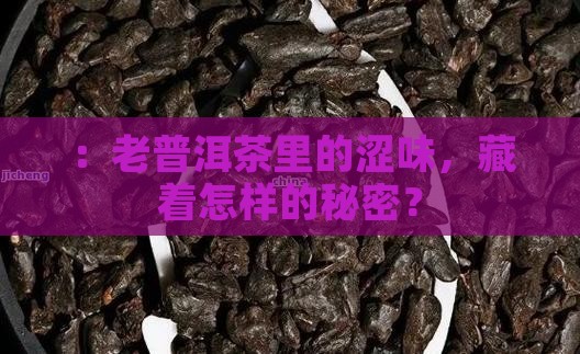 ：老普洱茶里的涩味，藏着怎样的秘密？