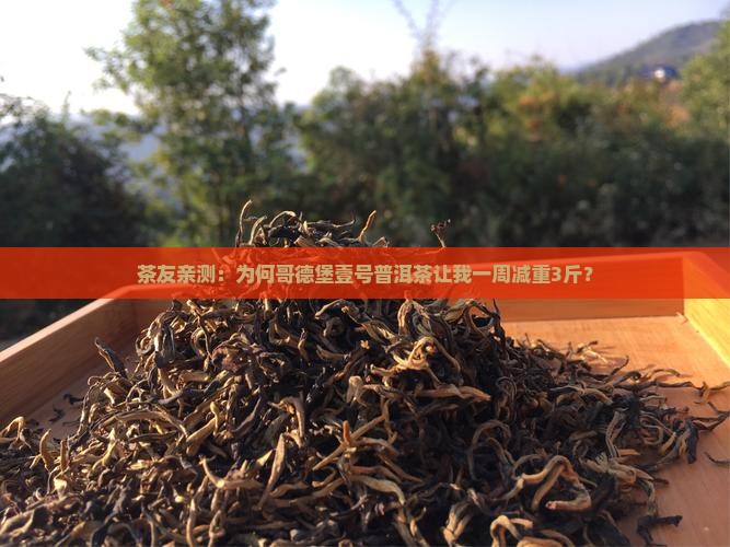 茶友亲测：为何哥德堡壹号普洱茶让我一周减重3斤？