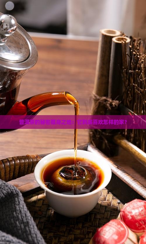 普洱茶的秘密藏身之地：它到底喜欢怎样的家？