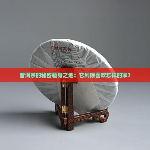普洱茶的秘密藏身之地：它到底喜欢怎样的家？
