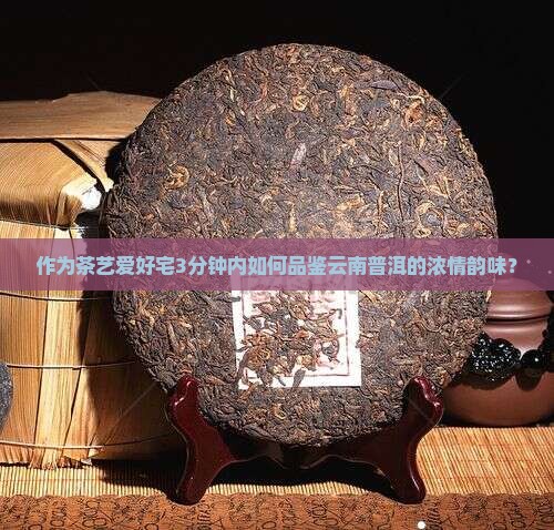 作为茶艺爱好宅3分钟内如何品鉴云南普洱的浓情韵味？