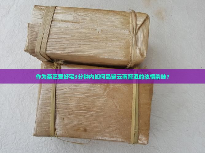 作为茶艺爱好宅3分钟内如何品鉴云南普洱的浓情韵味？