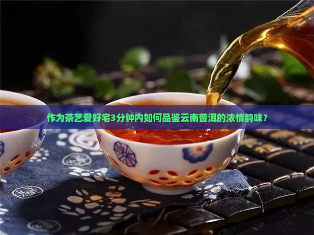 作为茶艺爱好宅3分钟内如何品鉴云南普洱的浓情韵味？