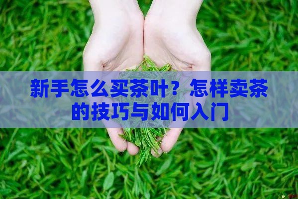新手怎么买茶叶？怎样卖茶的技巧与如何入门