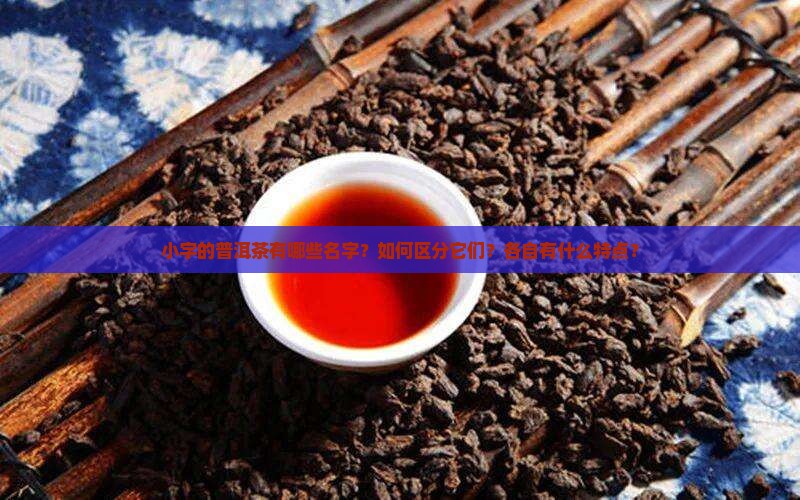 小字的普洱茶有哪些名字？如何区分它们？各自有什么特点？
