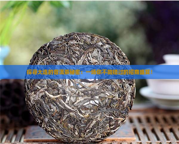 探寻大连的普洱茶秘密：一场你不能错过的招商盛宴！