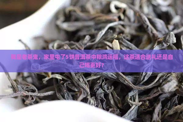 我是老茶鬼，家里屯了5饼普洱茶中粮鸿运福，这茶适合送礼还是自己喝更好？