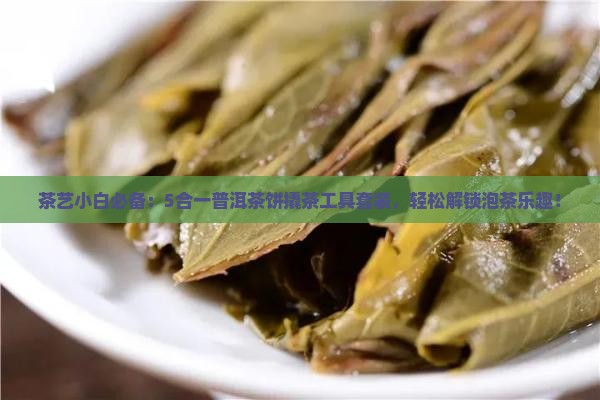茶艺小白必备：5合一普洱茶饼撬茶工具套装，轻松解锁泡茶乐趣！