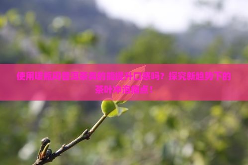 使用暖瓶闷普洱茶真的能提升口感吗？探究新趋势下的茶叶冲泡痛点！