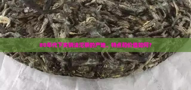 80年代下关销法沱茶的产地、特点和价值如何？