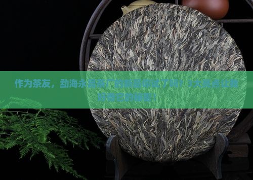作为茶友，勐海永昌茶厂的新品你试了吗？3大亮点让我好奇它的秘密！