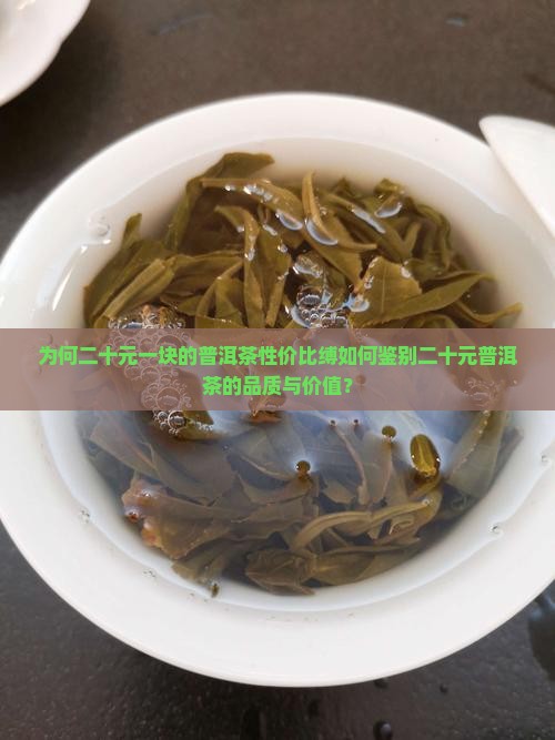 为何二十元一块的普洱茶性价比缚如何鉴别二十元普洱茶的品质与价值？
