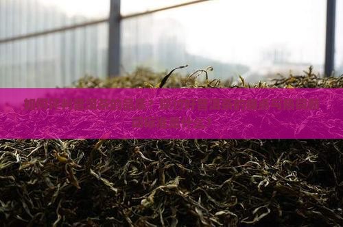 如何评判普洱茶的品质？探讨好普洱茶的痛点与热词新词标准是什么？