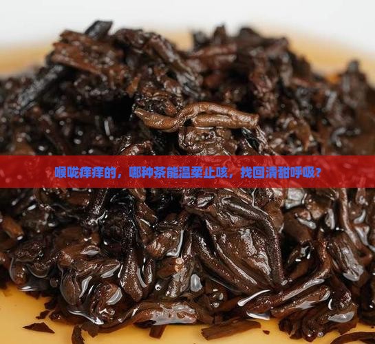 喉咙痒痒的，哪种茶能温柔止咳，找回清甜呼吸？