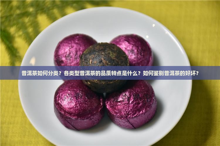 普洱茶如何分类？各类型普洱茶的品质特点是什么？如何鉴别普洱茶的好坏？