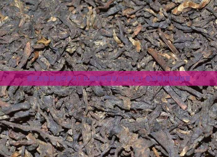 普洱茶散茶能存多久？长期储存需要注意什么？老茶客的存放秘笈