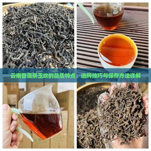 云南普洱茶玉坎的品质特点、选购技巧与保存方法详解