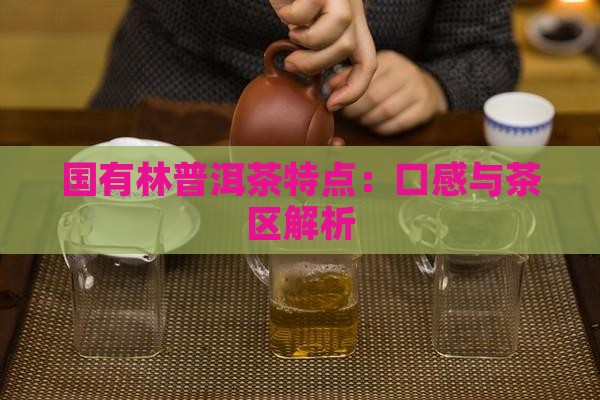国有林普洱茶特点：口感与茶区解析