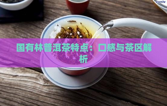 国有林普洱茶特点：口感与茶区解析