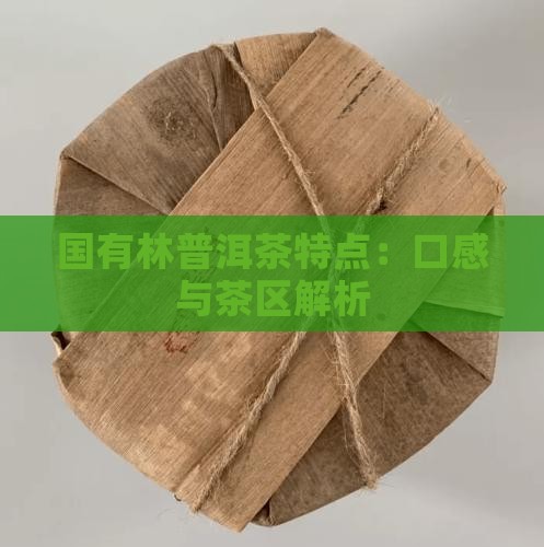 国有林普洱茶特点：口感与茶区解析