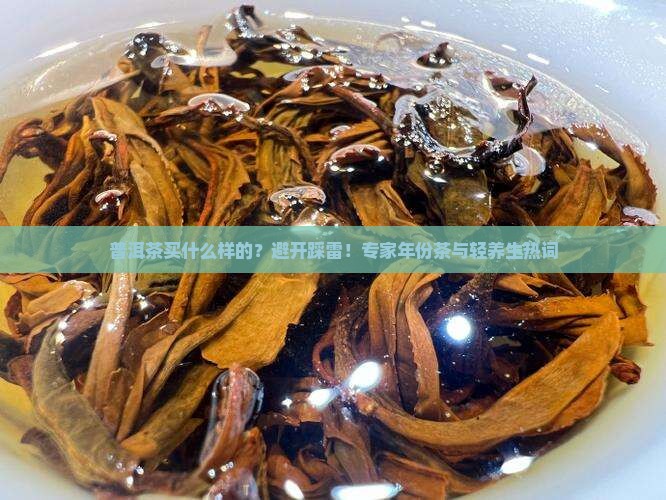 普洱茶买什么样的？避开踩雷！专家年份茶与轻养生热词