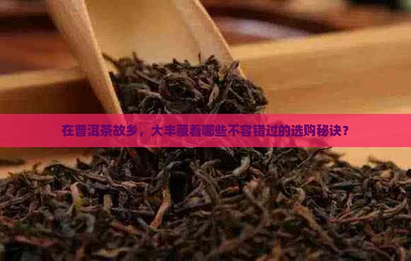 在普洱茶故乡，大丰藏着哪些不容错过的选购秘诀？