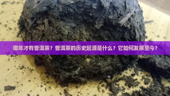 哪年才有普洱茶？普洱茶的历史起源是什么？它如何发展至今？