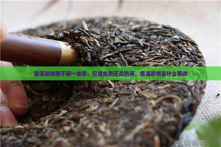 普洱茶饼属于哪一类茶，它是生茶还是熟茶，普洱茶饼是什么茶类