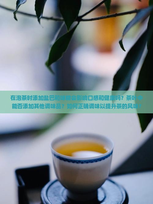 在泡茶时添加盐巴和味精会影响口感和健康吗？茶叶中能否添加其他调味品？如何正确调味以提升茶的风味？
