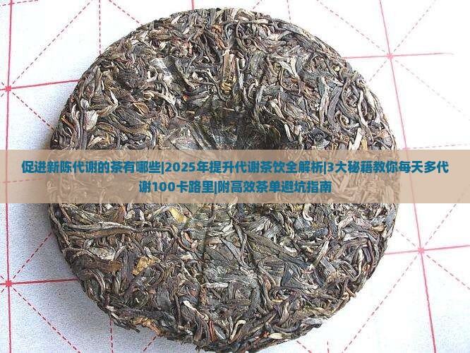 促进新陈代谢的茶有哪些
