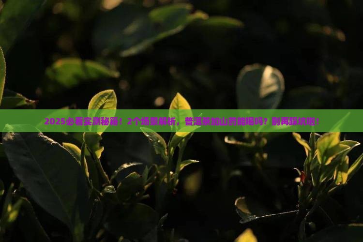 普洱茶加山药能喝吗