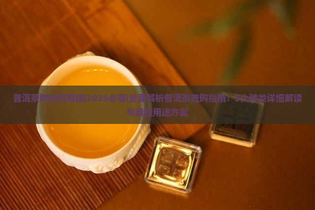 普洱茶种类和用途