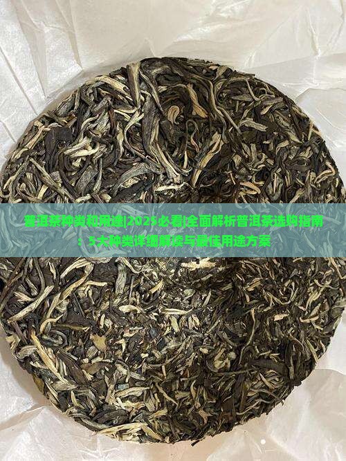 普洱茶种类和用途