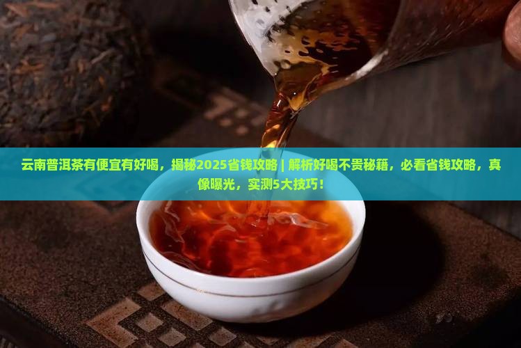 云南普洱茶有便宜有好喝