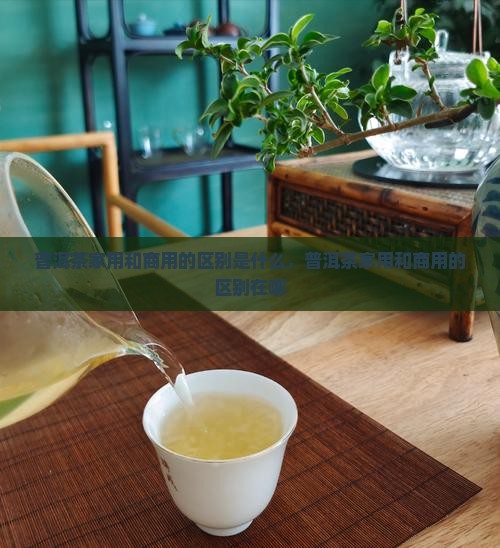 普洱茶家用和商用的区别