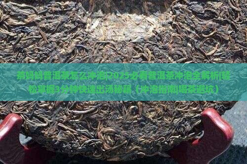 茶妈妈普洱茶怎么冲泡