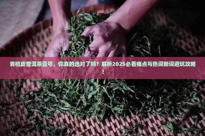 青桔皮普洱茶壹号