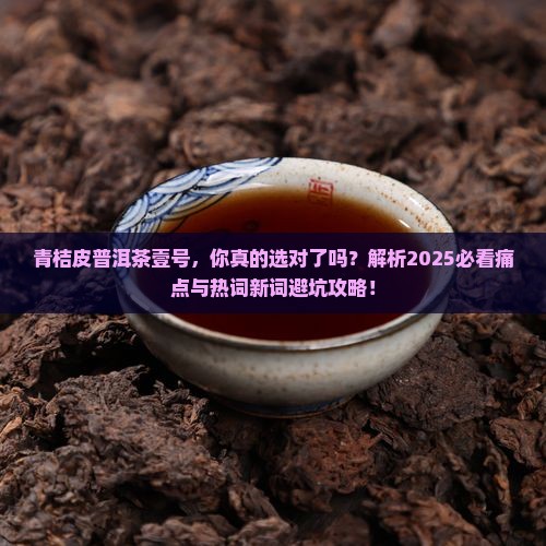 青桔皮普洱茶壹号