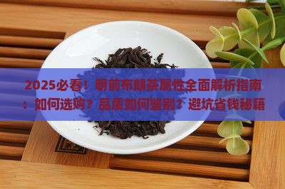明前布朗茶属性