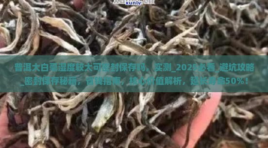 普洱大白毫湿度较大可密封保存吗