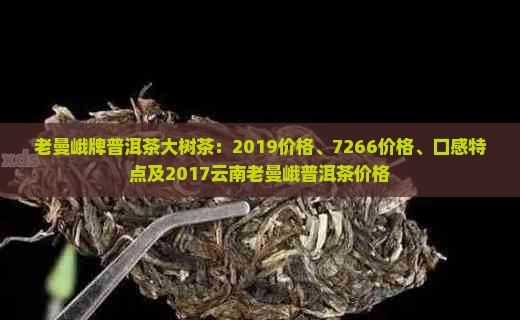 老曼峨牌普洱茶大树茶