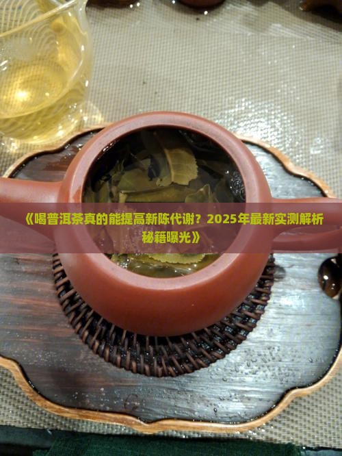 喝普洱茶能提高新陈代谢吗 喝普洱茶能提高新陈代谢吗