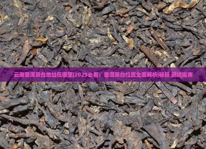 云南普洱茶台地址在哪里