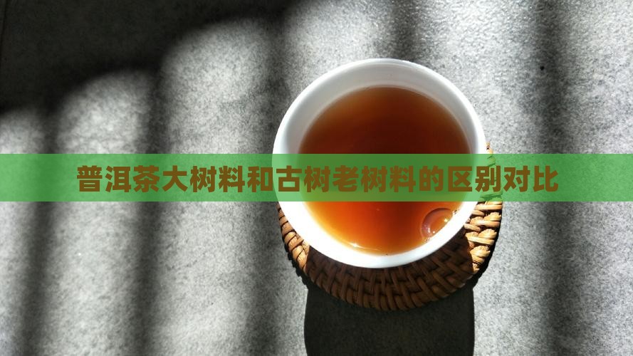 普洱茶老庄料和大树料那个好
