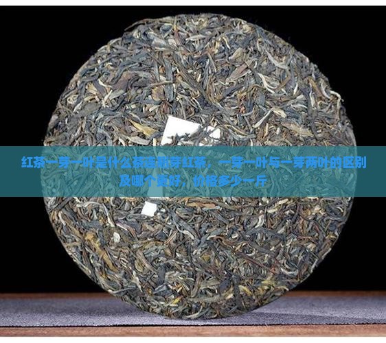 红茶一芽一叶是什么茶连翘芽红茶