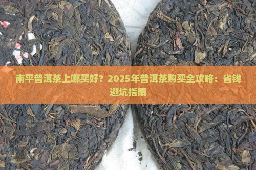 南平普洱茶上哪买好