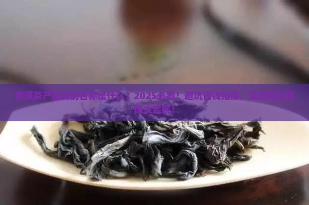 普洱茶产品类别名称是什么