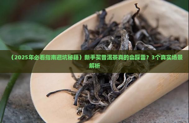 购买藏那种普洱茶好
