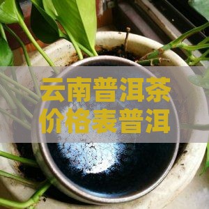云南三郎寨普洱茶价格